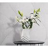 Kumano; The New Design Book Behang met grote bladeren - 34507