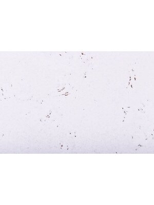 Kurk Kurk Tegel Snow 3 mm dik - 2096 Kurk Kurk Tegel Snow 3 mm dik - 2096