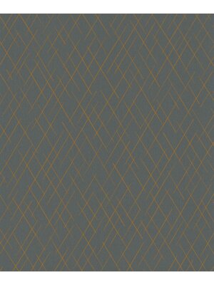 Kylie Behang met grafische ruitprint - 6834-50