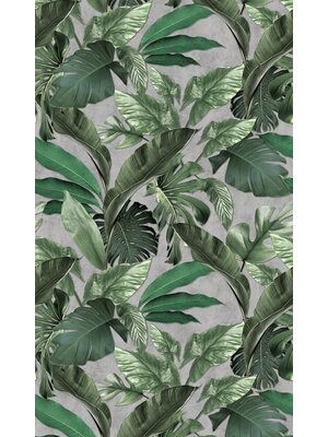 Loft Fotobehang met grote bladeren en monstera print - 34197 Loft Fotobehang met grote bladeren en monstera print - 34197