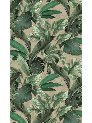 Loft Fotobehang met grote bladeren en monstera print - 34198