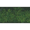 Muance Fotobehang Botanical - MU11047 Muance Fotobehang Botanical - MU11047