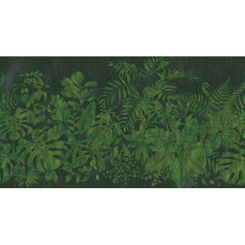 2,7m x 5m 2,7m x 5m