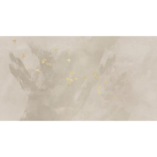 2,7m x 5m 2,7m x 5m