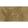 Muance Fotobehang Cherry flight - MU13050 Muance Fotobehang Cherry flight - MU13050