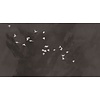 Muance Fotobehang Cherry flight - MU13051