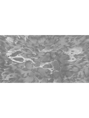 Muance Fotobehang Coral on the wall - MU13096 Muance Fotobehang Coral on the wall - MU13096