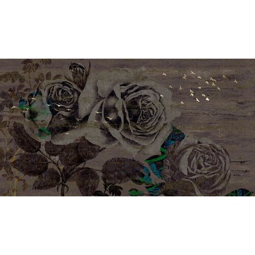 2,7m x 5m