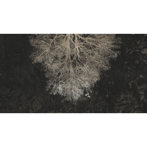 2,7m x 5m