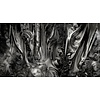 Muance Fotobehang Forest of Silk - MU14051 Muance Fotobehang Forest of Silk - MU14051
