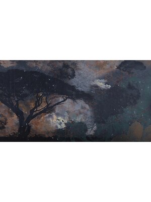 Muance Fotobehang Galaxy nights - MU11059 Muance Fotobehang Galaxy nights - MU11059