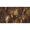 Muance Fotobehang Harmony - MU13083