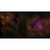 Muance Fotobehang Henderson - MU12039