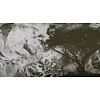 Muance Fotobehang Horizons Echo - MU11033