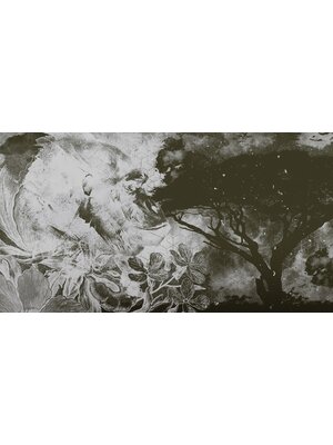 Muance Fotobehang Horizons Echo - MU11033
