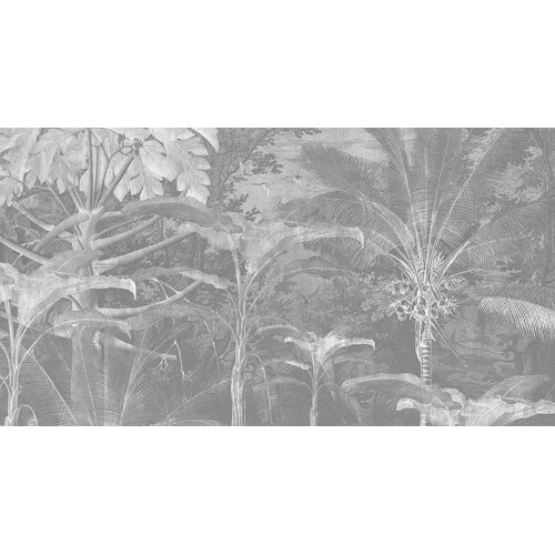 2,7m x 5m