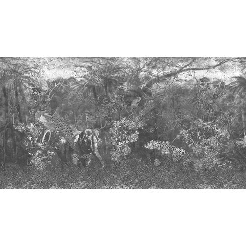 2,7m x 5m
