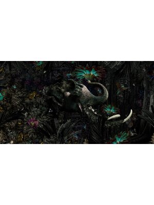 Muance Fotobehang Mumba Kanda - MU13027 Muance Fotobehang Mumba Kanda - MU13027