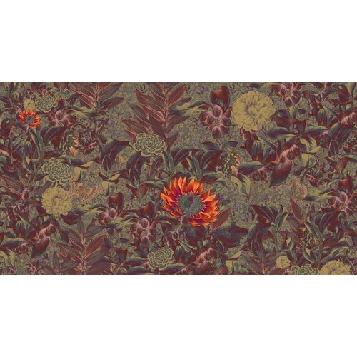 2,7m x 5m