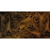 Muance Fotobehang Passion leaf - MU11067 Muance Fotobehang Passion leaf - MU11067