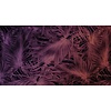Muance Fotobehang Passion leaf - MU11068 Muance Fotobehang Passion leaf - MU11068