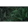 Muance Fotobehang Passion leaf - MU11069 Muance Fotobehang Passion leaf - MU11069