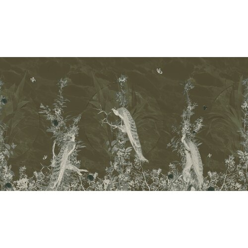 2,7m x 5m