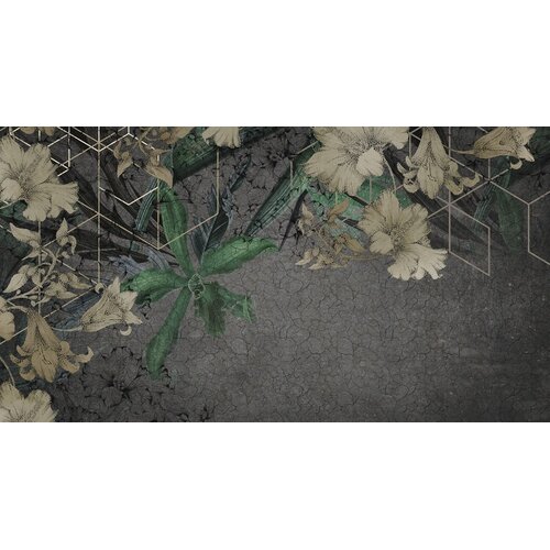 2,7m x 5m