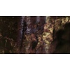 Muance Fotobehang Raw marble - MU13097