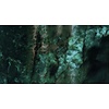 Muance Fotobehang Raw marble - MU13098