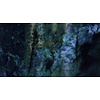 Muance Fotobehang Raw marble - MU13099