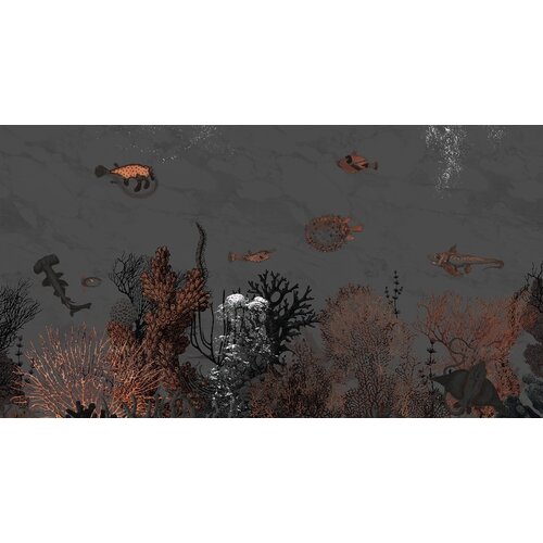2,7m x 5m