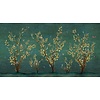 Muance Fotobehang Sense of truth - MU12044