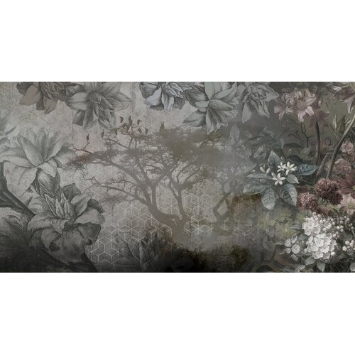 2,7m x 5m