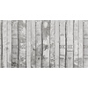 Muance Fotobehang The art of knowledge - MU12090
