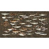 Muance Fotobehang Underwater - MU15061 Muance Fotobehang Underwater - MU15061