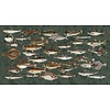 Muance Fotobehang Underwater - MU15062 Muance Fotobehang Underwater - MU15062