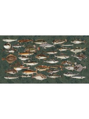 Muance Fotobehang Underwater - MU15062