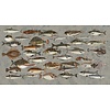 Muance Fotobehang Underwater - MU15063