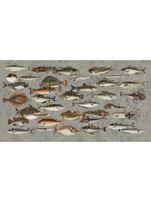 Muance Fotobehang Underwater - MU15063 Muance Fotobehang Underwater - MU15063