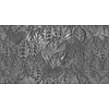 Muance Fotobehang Vibrant wonderland - MU15020
