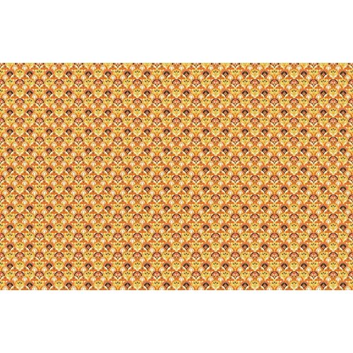 2,7m x 4,19m