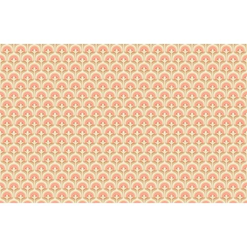 2,7m x 4,19m
