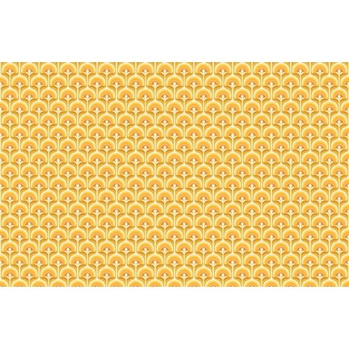 2,7m x 4,19m
