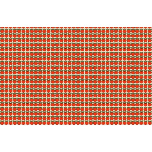 2,7m x 4,19m