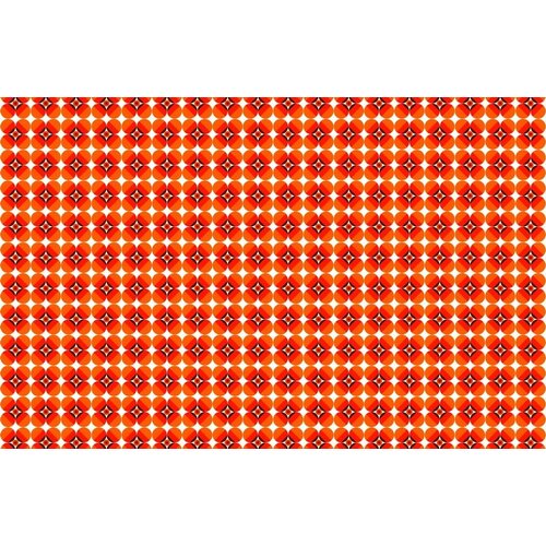 2,7m x 4,19m