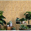 Noordwand Textura Behang met natuurlijk vlechtwerk - 1545739