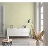 Shades; Kids Walls Behang uni - 32423