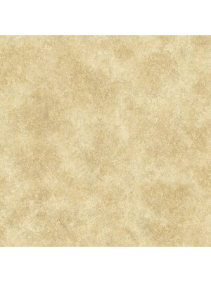 Special FX 2 Behang met metallic betonlook - G67693