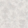 Special FX 2 Behang met metallic betonlook - G67695